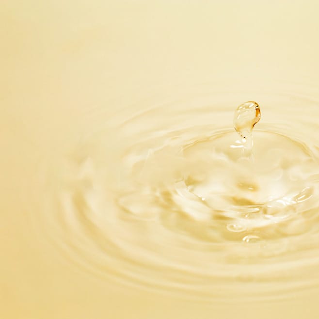 ドクターシーバ-会社概要